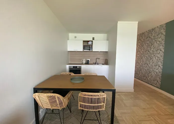 Moderne A Avec Parking Et Vue Ocean - Fr-1-239-1040 ビアリッツ